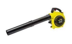 Talon Petrol Blower